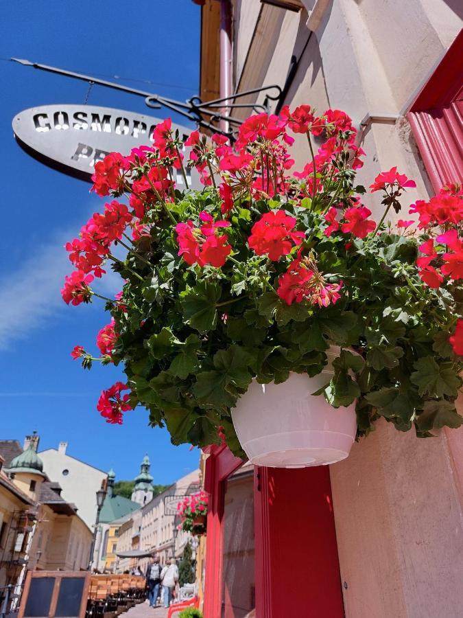 Penzion Cosmopolitan Ii. Banská Štiavnica Екстериор снимка